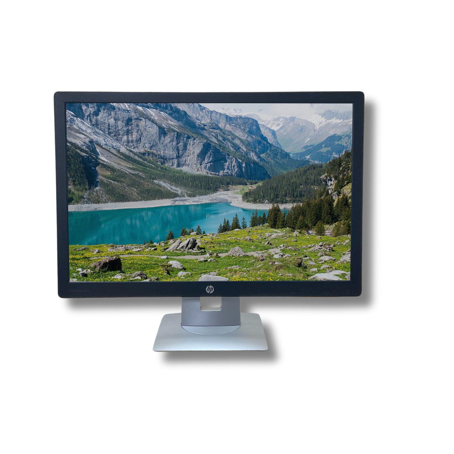 HP EliteDisplay E242 24" Monitor